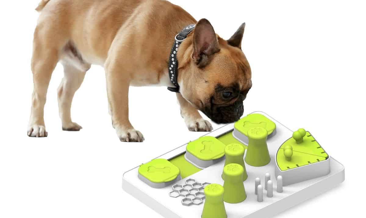 dog puzzle